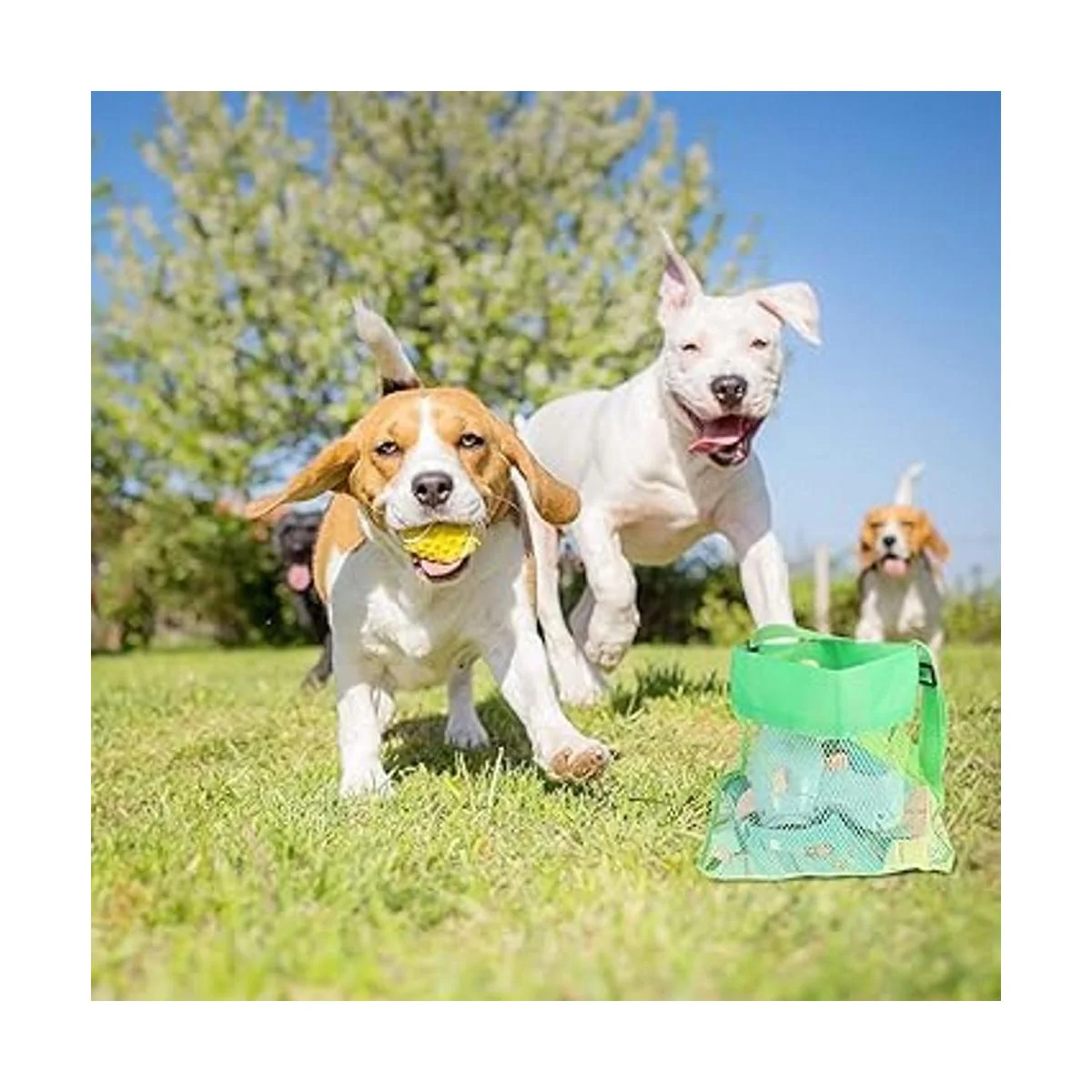 Paquete de 15 bolsas de malla para playa para niños_6