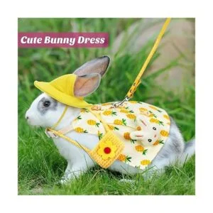 Weewooday 2 juegos de disfraz de conejo para mascotas_3