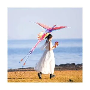 Mints Colorful Life Rainbow Phoenix Kite para niños y_6