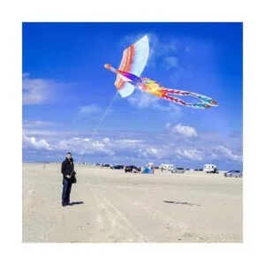 Mints Colorful Life Rainbow Phoenix Kite para niños y_5