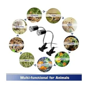 Lámpara de calor para reptiles lámpara de punto_4