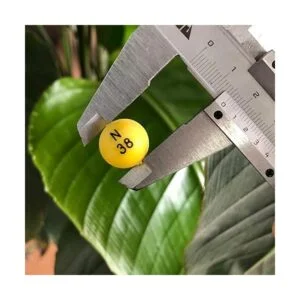 Yuanhe Juego de juego de bingo de lujo jaula de metal de_5