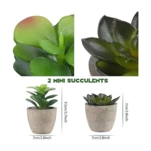 Juego de 4 plantas falsas pequeñas Plantas suculentas de_3