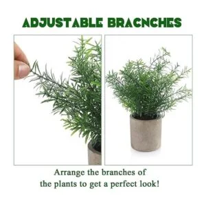 Juego de 4 plantas falsas pequeñas Plantas suculentas de_4