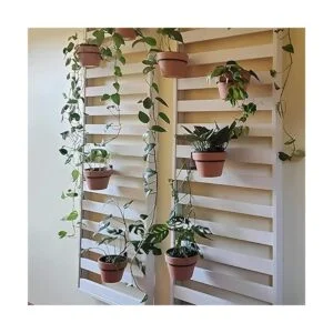 Soporte para plantas de 5.9 in montado en la pared 6_5