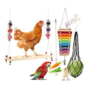 Daxiang 4 juguetes de pollo para accesorios de gallinero_1