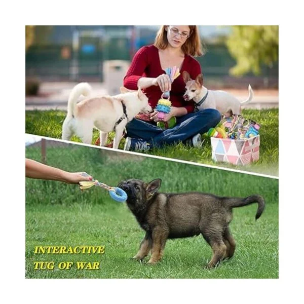 Juguetes de dentición para cachorros juguete de cuerda_6