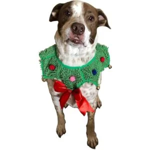 ComfyCamper Disfraz de perro con cuello de corona de_2