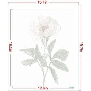 Pintura de color por números para adultos principiantes y_5