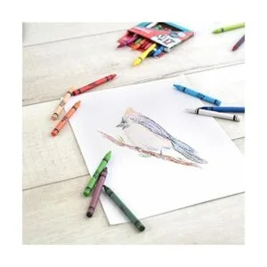 IDIY Cajas envueltas individualmente con crayones de cera_6