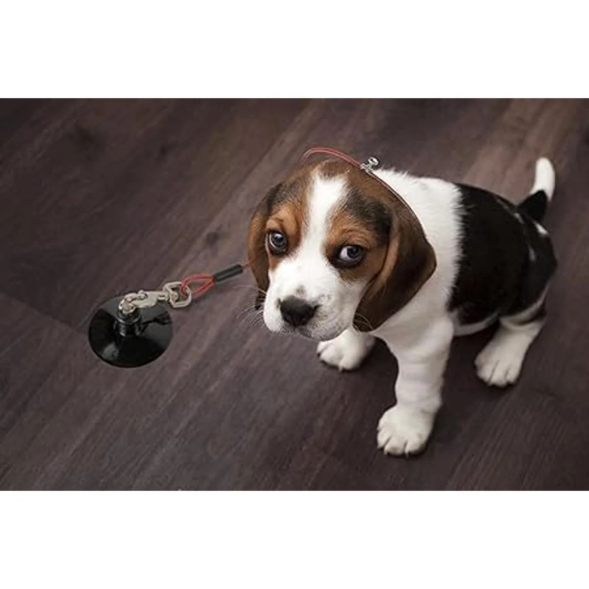 Furzone Correa de sujeción de baño duradera para perros_6