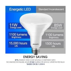 Energetic Bombillas LED empotrables BR30 equivalente a_2