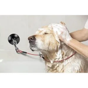 Furzone Correa de sujeción de baño duradera para perros_2