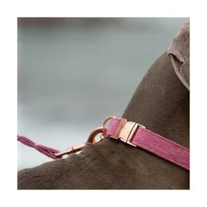 DOGWONG Collar y correa de algodón para perro rosa para_4