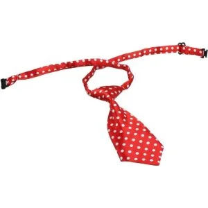 Segarty Paquete de 40 corbatas para el cuello a granel_5