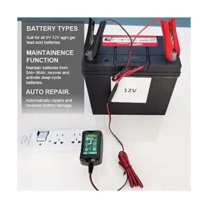 Cargador de goteo de batería de 12 V6 V cargador_6