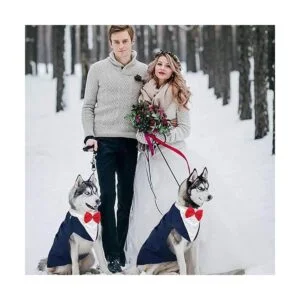 Kuoser Dog Tuxedo Dog Suit and Bandana Set Dogs Tuxedo_6