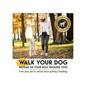 PetJett Collar de punta para perros collar de_2