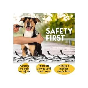 PetJett Collar de punta para perros collar de_3