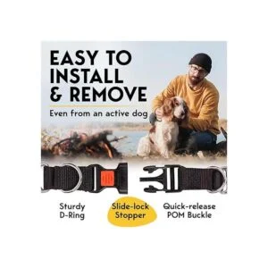 PetJett Collar de punta para perros collar de_4