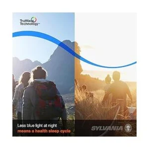 Sylvania Bombilla LED TruWave serie natural G25_2