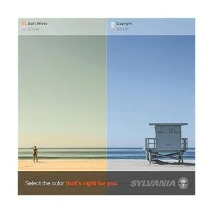 Sylvania Bombilla LED TruWave serie natural G25_6