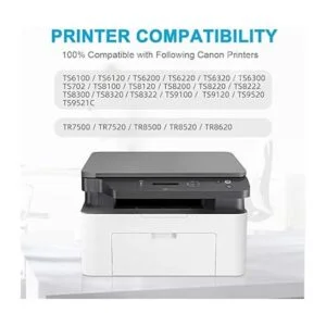 Cartuchos de tinta compatibles para Canon PGI280XXL_5