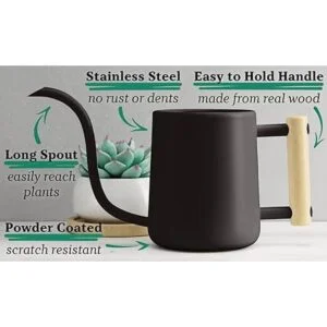 Regadera de interior con boquilla larga regadera negra de_2