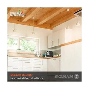 Sylvania Bombilla LED TruWave serie natural G25_5