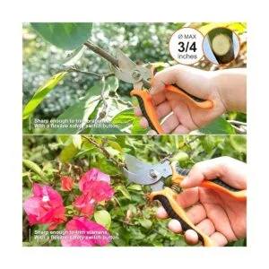 CHRYZTAL Juego de herramientas de jardín juego de_5