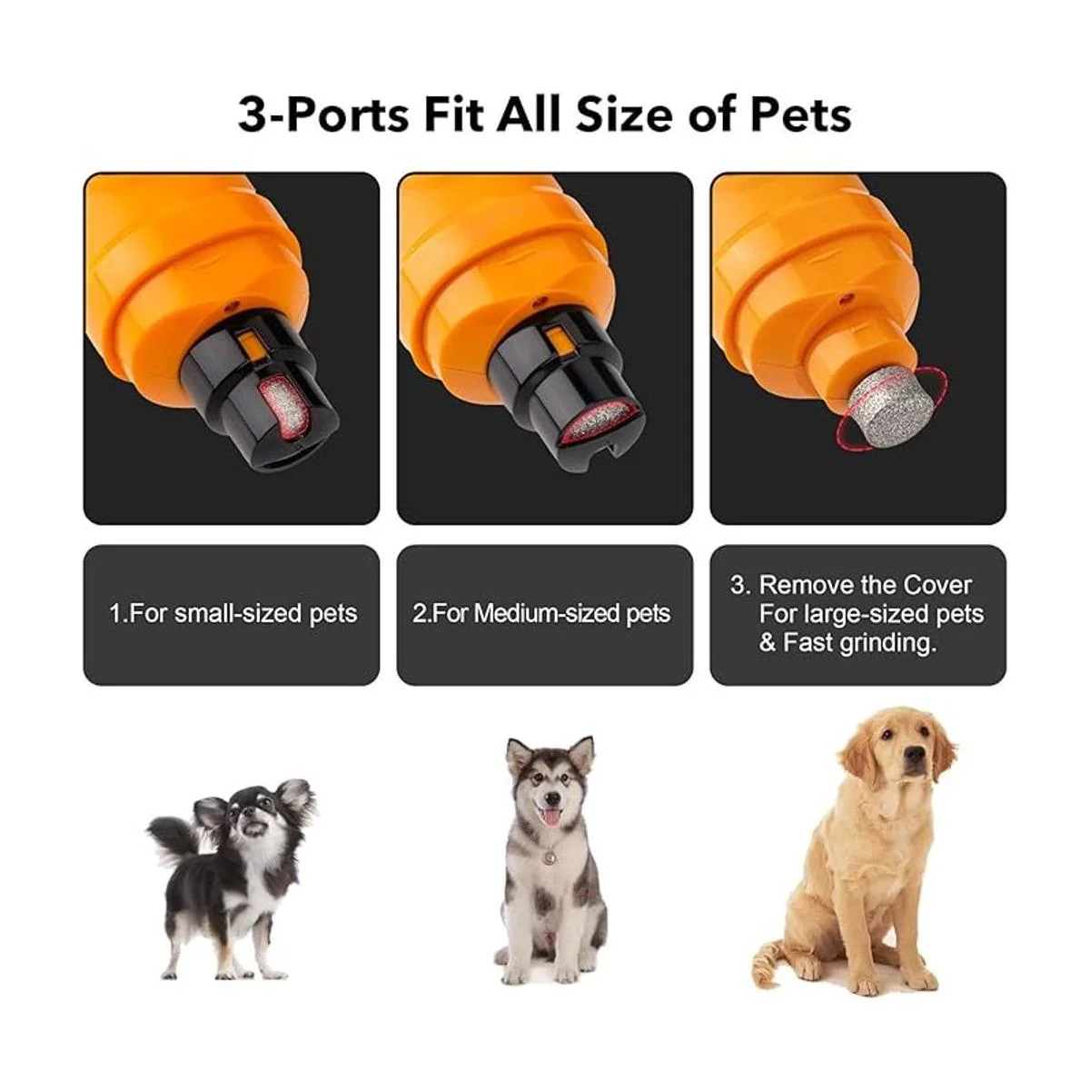 Casfuy Molinillo de uñas para perros con 2 luces LED_6