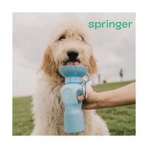 Springer Botella de agua de viaje para perros como se ve_5