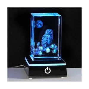 Regalos de búho para mujeres y niñas decoración del_1