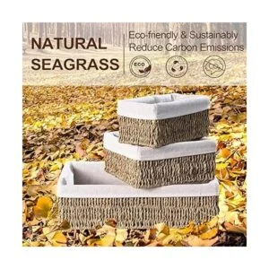 FairyHaus Cestas de almacenamiento de algas marinas con_3