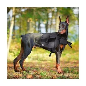 Himal Outdoors Dog Backpack Dog Hiking Backpack Hound_6