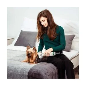 Secador de pelo para perros y gatos Secador de pelo_2