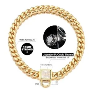 PRADOG Collar de cadena dorada para perro con hebilla de_2