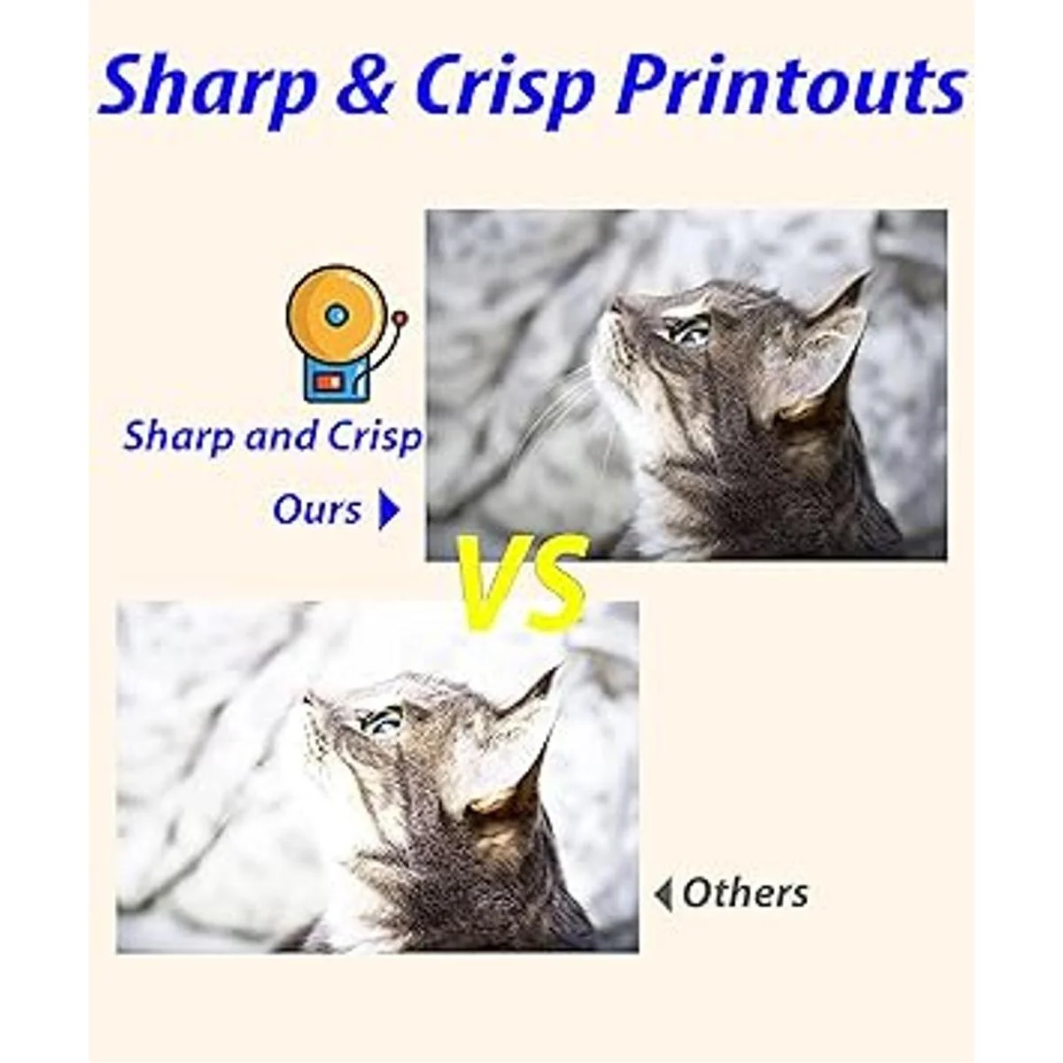 Paquete de 4 cartuchos de tinta compatibles con ColorPrint_4