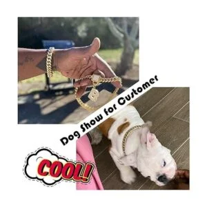 PRADOG Collar de cadena dorada para perro con hebilla de_4
