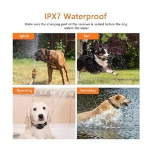 MAISOIE Collar de entrenamiento para perros collar_5