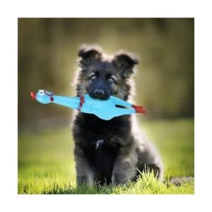 ArtCreativity Juguetes de pollo chirriante juego de 4_7