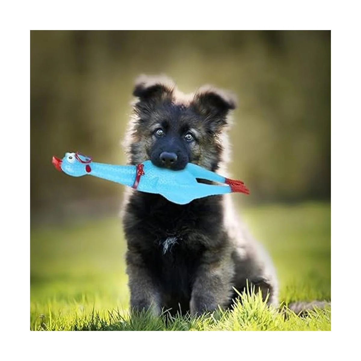 ArtCreativity Juguetes de pollo chirriante juego de 4_7