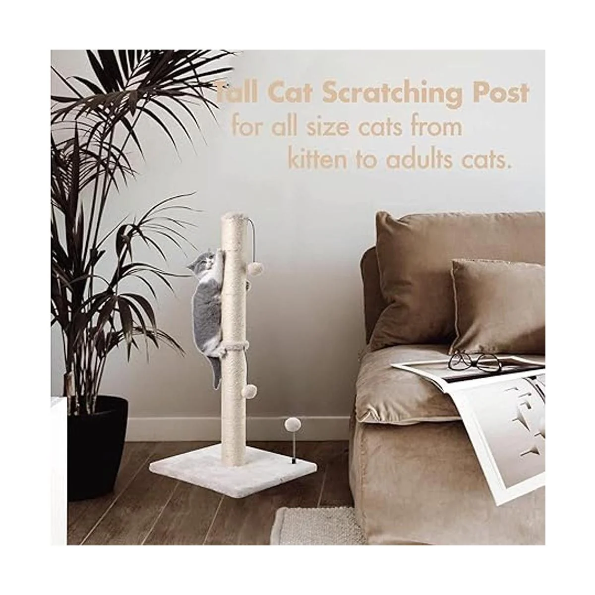 MECOOL Poste rascador de sisal de alta calidad con_5