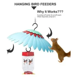 Baffle para comedero de pájaros deflector de ardilla_4