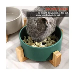 Petygooing Ceramic Dog Cat Bowl Dish with Stand for Food_6