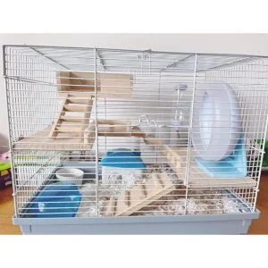 CAREUPET Tabla de salto de madera para hámster de ardilla_6