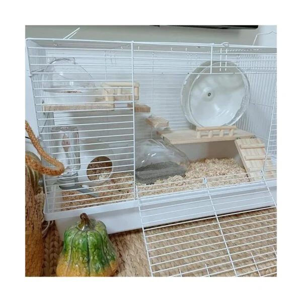 CAREUPET Tabla de salto de madera para hámster de ardilla_2
