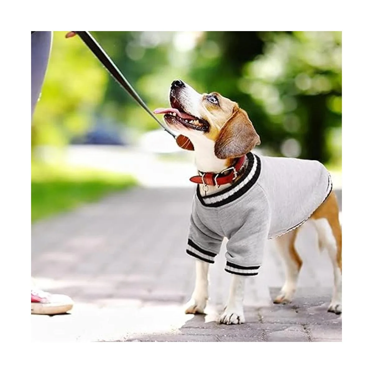 FUAMEY Suéter sin botones para perro abrigo de invierno_5