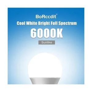 Bombilla de espectro completo 4 unidades 6000 K_4