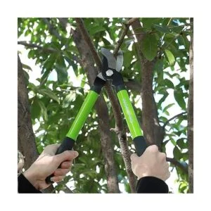 WORKPRO W151010 Juego de herramientas para podar ramas y_4